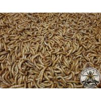 Mealworms 250ml top 